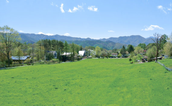 カフェテラスからの眺め