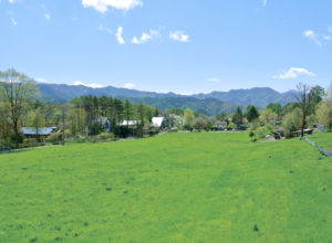 カフェテラスからの眺め。自然豊かな草原の中に、清里ジャムはあります。 カフェテラスからの眺め